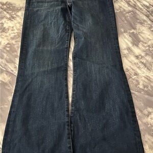 American Eagle Outfitters Blue Flare Wide Leg Jeans
Never worn